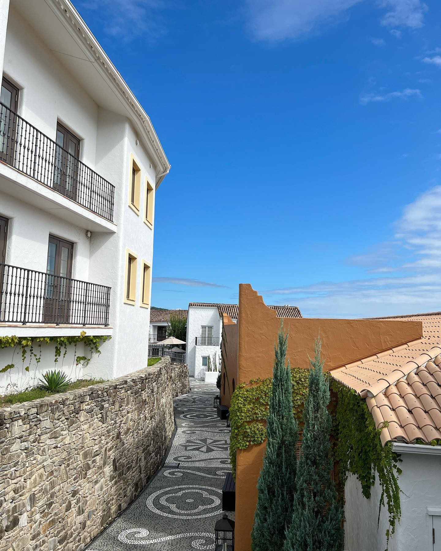  Instagramで記事を開く妃 アス...