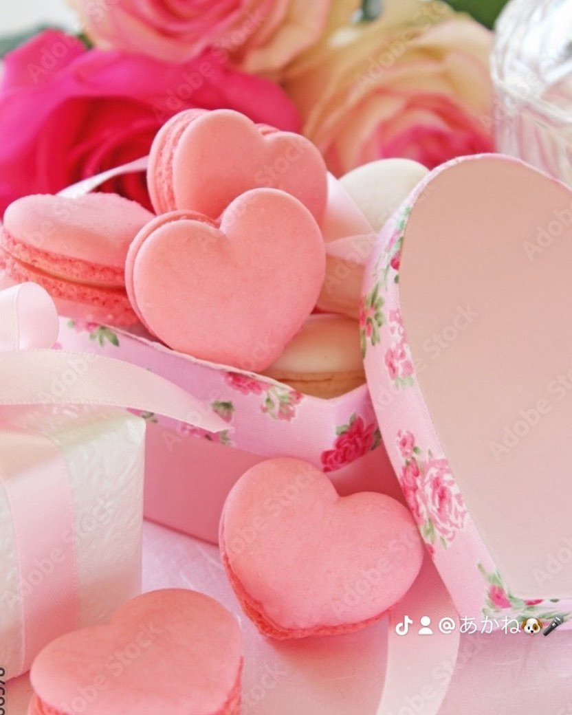 池袋 Red Shoes ホットニュース 65539