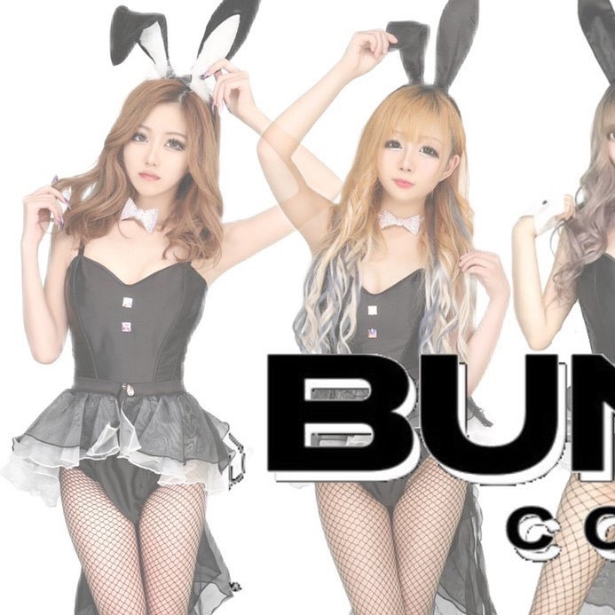 Bunny Base ホットニュース 65612