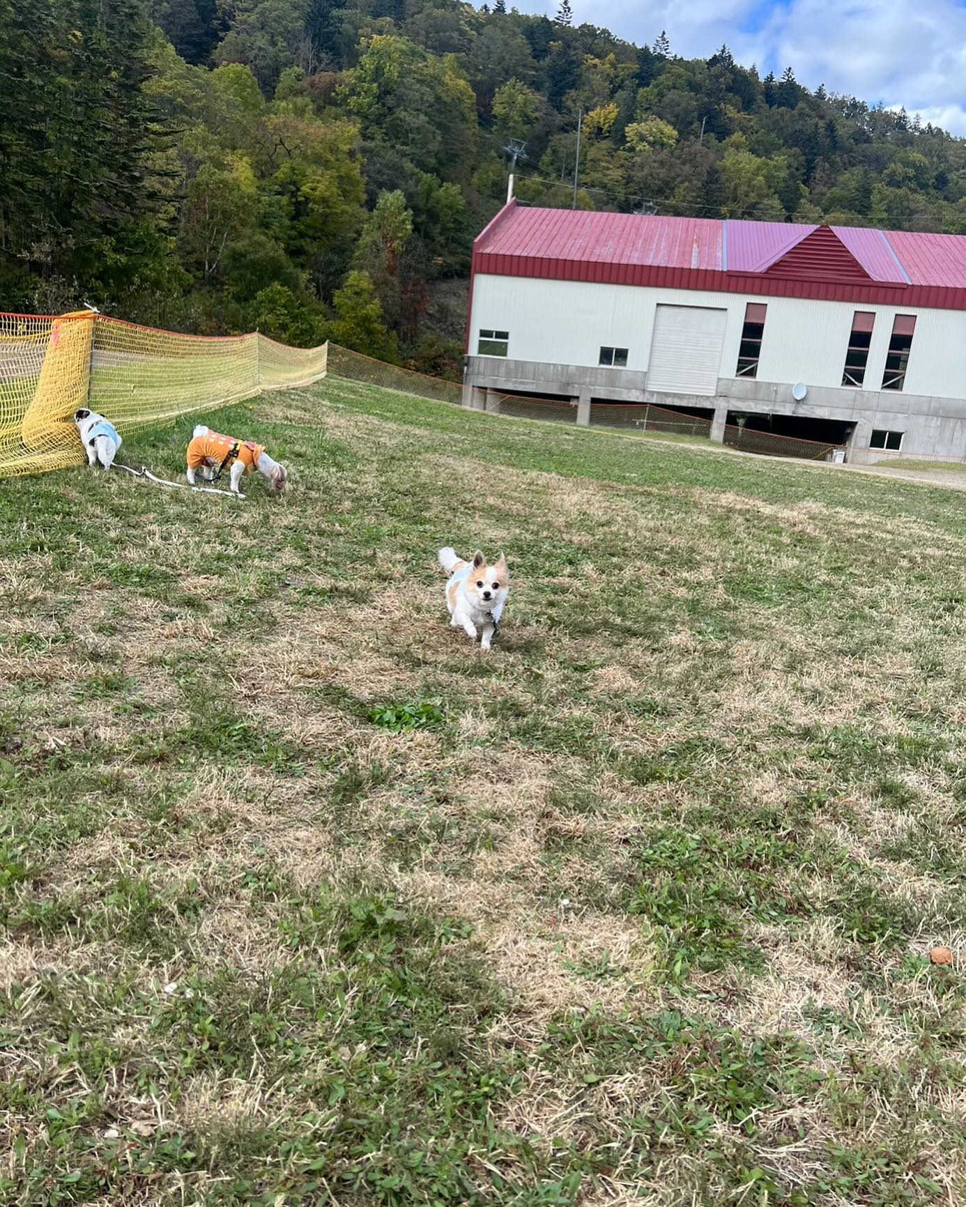 うちの子足遅くて可愛い♡笑

#すすきの #シャチグループ #シャチスタ #赤門倶楽部 #椿姫なみ #キャバ嬢 #キャバクラ #すすきのキャバクラ #歌舞伎町 #六本木 #銀座 #中洲 #北新地 #水商売 #バイト募集中 #求人 #アルバイト #高収入 #夜職 #キャスト募集 #体入 #採用 #女子大生 #経営者 #ベンチャー企業 #ガールズバー #ポケパラ #美容 #オシャレ #可愛い女の子