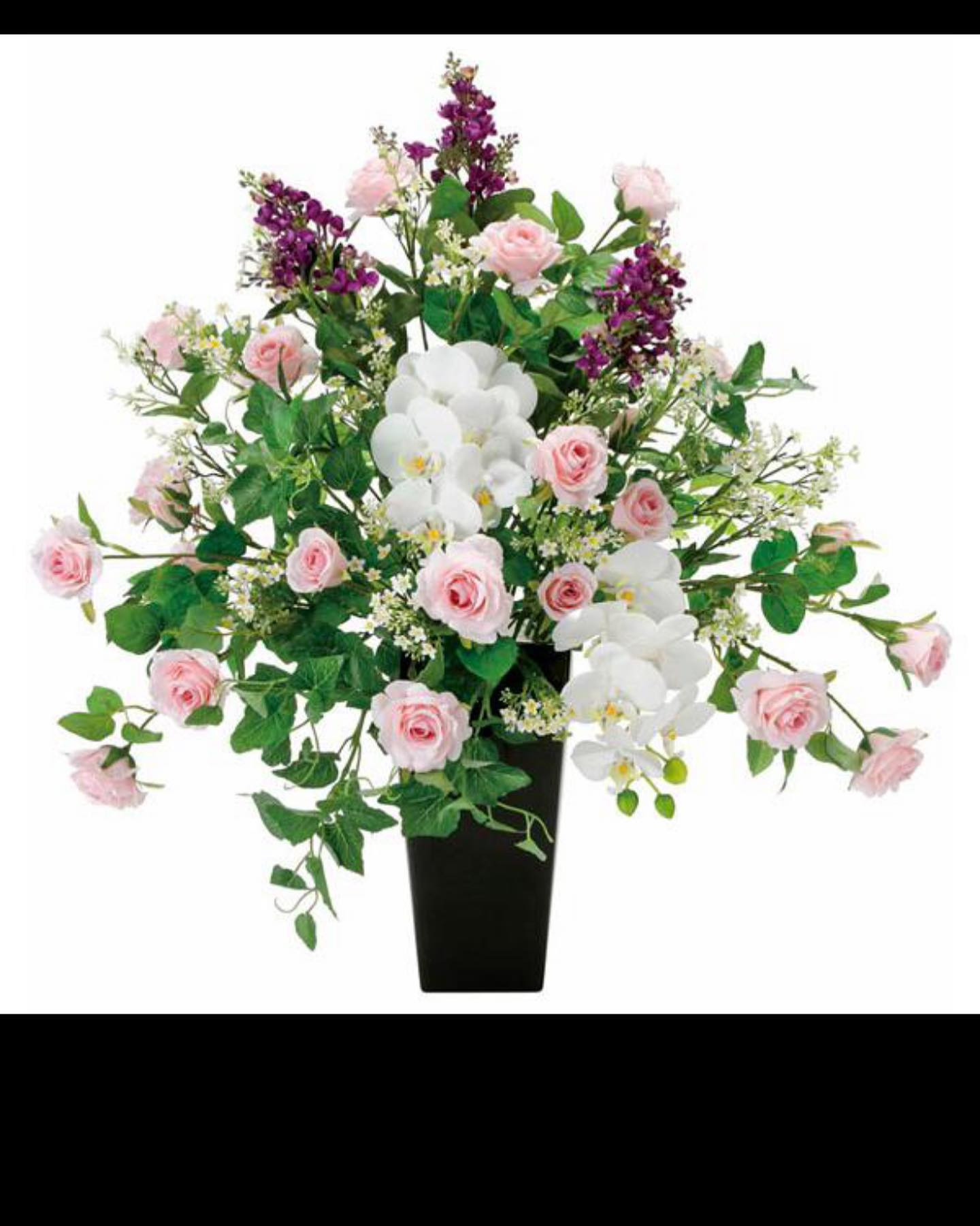 池袋 Red Shoes ホットニュース 66268