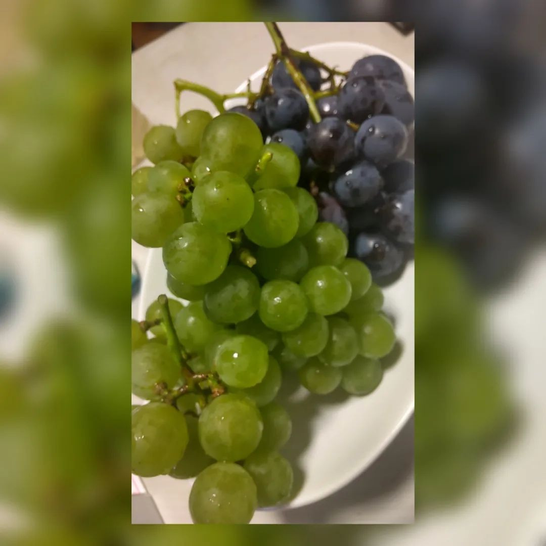 今年も大家さんから葡萄たくさん貰った🌝🍇♥

今年は甘い♥
@letoile_sinseigroup 
@hibiki.group 
#レトワール#響グループ #水川潤#美松ビル5F#札幌 #すすきの #北海道 #ニュークラブ #ニュークラ嬢 #すすきのニュークラ #ラウンジ #ラウンジ嬢 #キャバクラ #キャバ嬢 #ホステス #夜職 #ナイトワーク #ポケパラ #インスタ指名 #求人 #お酒好きな人と繋がりたい #キャバキャバ #きゃばきゃば#ダイエット#HIBIKI#HIBIKIグループ