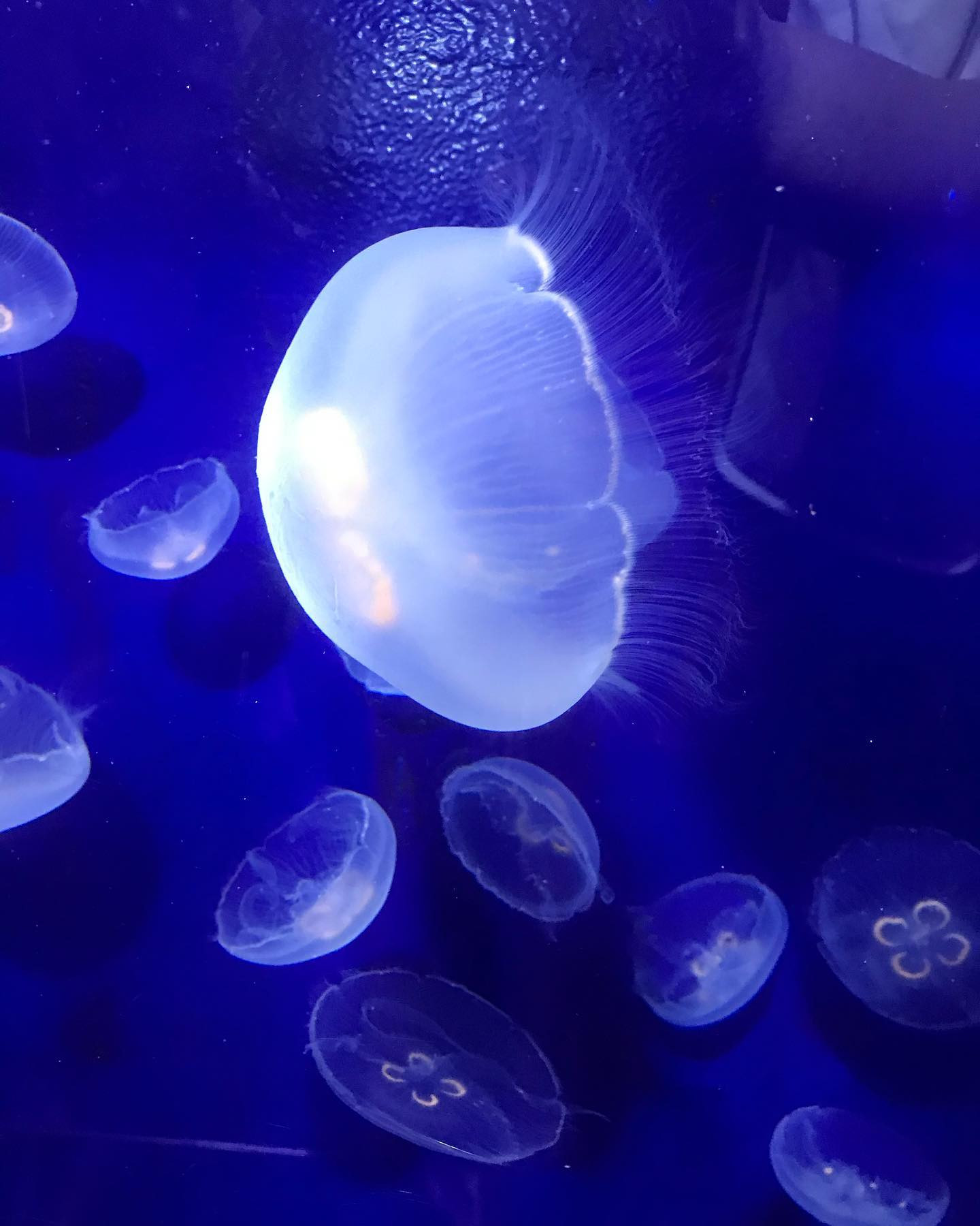 池袋 Red Shoes ホットニュース 66636