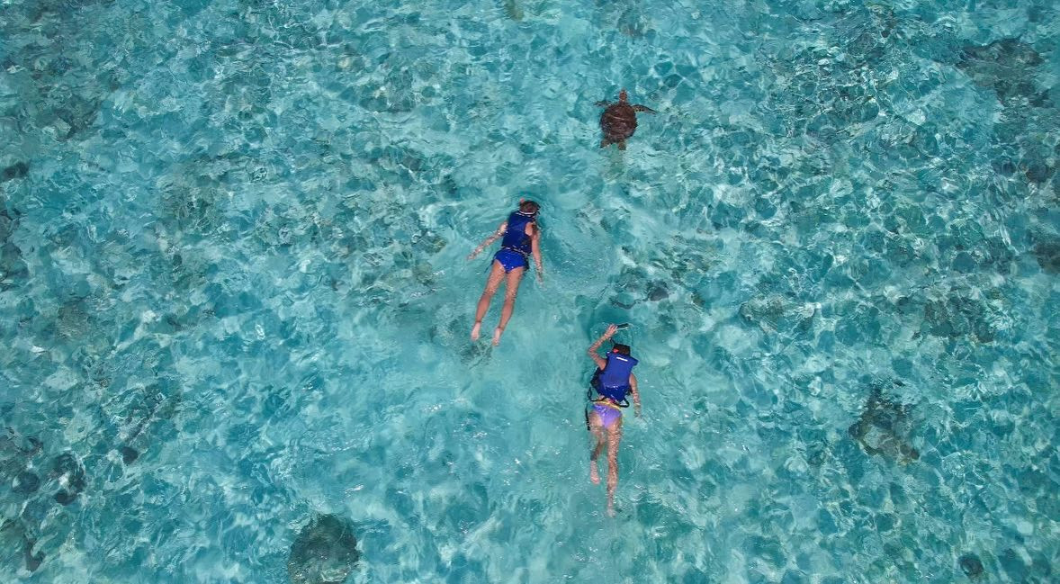 皆田海岸ウミガメめっちゃいた🐢🌟
可愛かったな🥺️🩵💙️🩵

ちなみにこの子大きかった気がする😳😳😳😳

 #与論島 #ヨロン島 #ヨロン #与論ブルー #ヨロンブルー #皆田海岸 #ウミガメ #ウミガメと泳ぐ