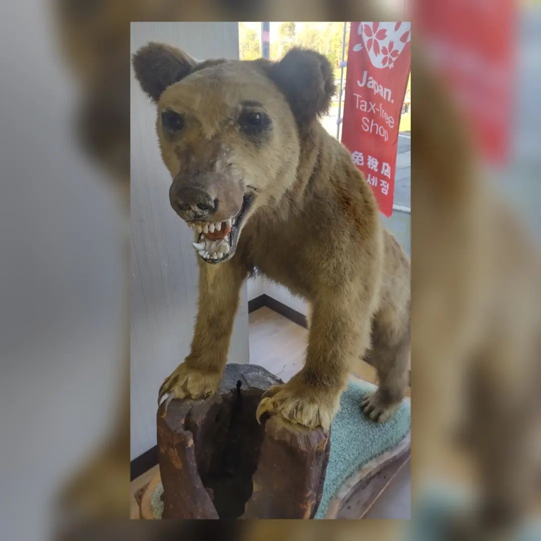 怒ったまま固まってるクマさんおかわ🐻♥

眠すぎて毎日眠りの小五郎🥱

おやすみなさい💤

@hibiki.group
@letoile_sinseigroup 
#レトワール#響グループ #水川潤#美松ビル5F#札幌 #すすきの #北海道 #ニュークラブ #ニュークラ嬢 #すすきのニュークラ #ラウンジ #ラウンジ嬢 #キャバクラ #キャバ嬢 #ホステス #夜職 #ナイトワーク #ポケパラ #インスタ指名 #求人 #お酒好きな人と繋がりたい #キャバキャバ #きゃばきゃば#ダイエット#HIBIKI#HI