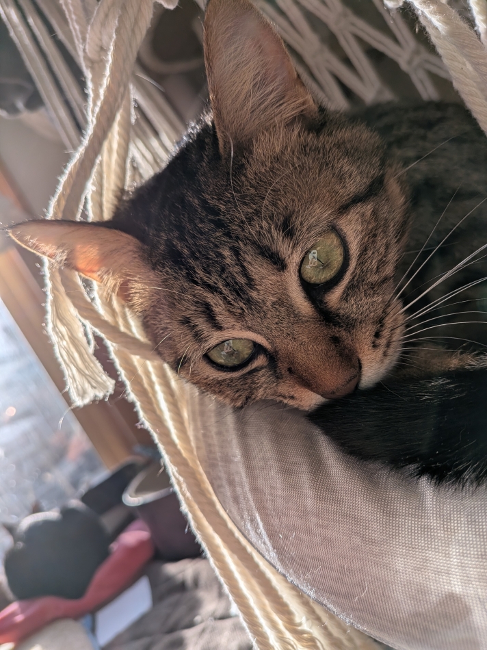 熟女キャバクラ Lips日記1608935