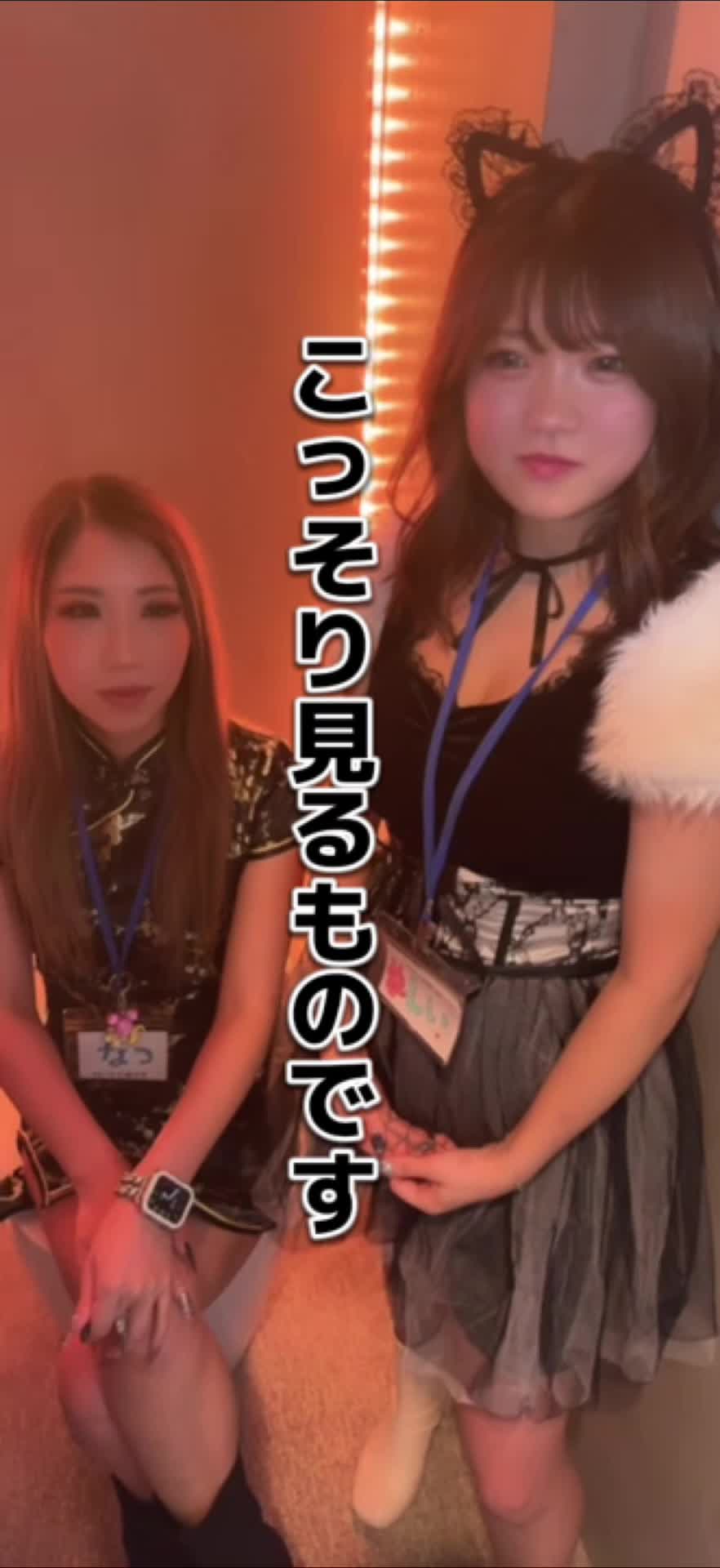 Cafe＆Bar Kitty ホットニュース 67671