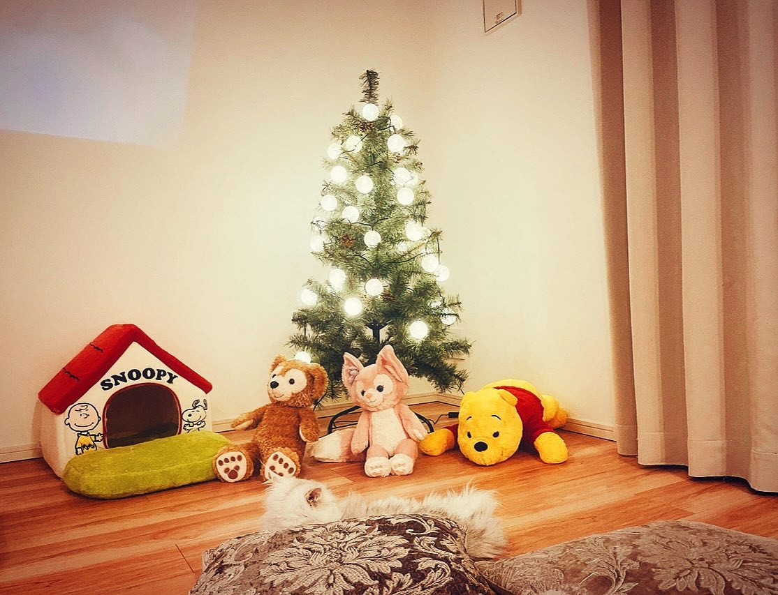 .
クリスマスの季節が1番好き♡
ハロウィン通り越して既にクリスマス全開の自宅🎄🎁