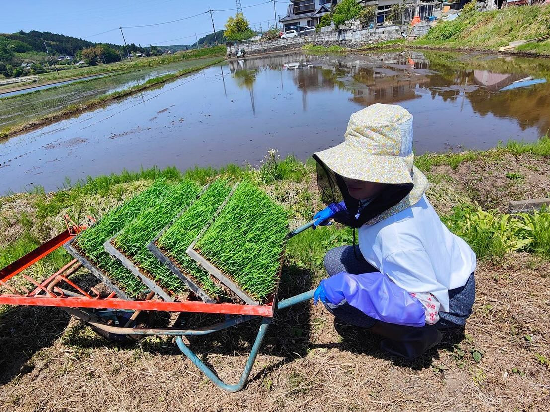 Lounge CANTY ホットニュース 68175