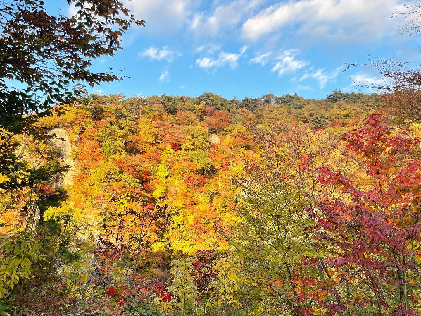 .
念願の鳴子峡🍂🍁⠜
自然の力素晴らしい。
.
#宮城 #鳴子 #鳴子峡 #紅葉
#秋が1番好き