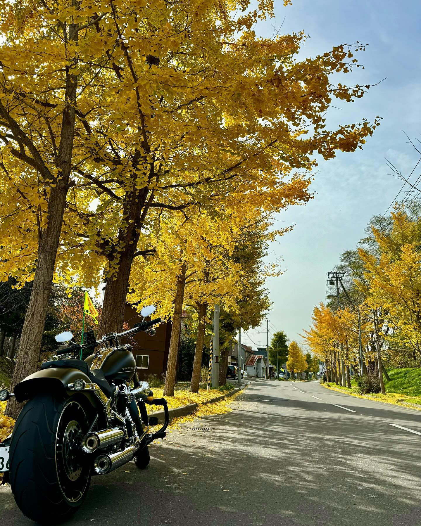 また来年(o・・o)/~💛
.