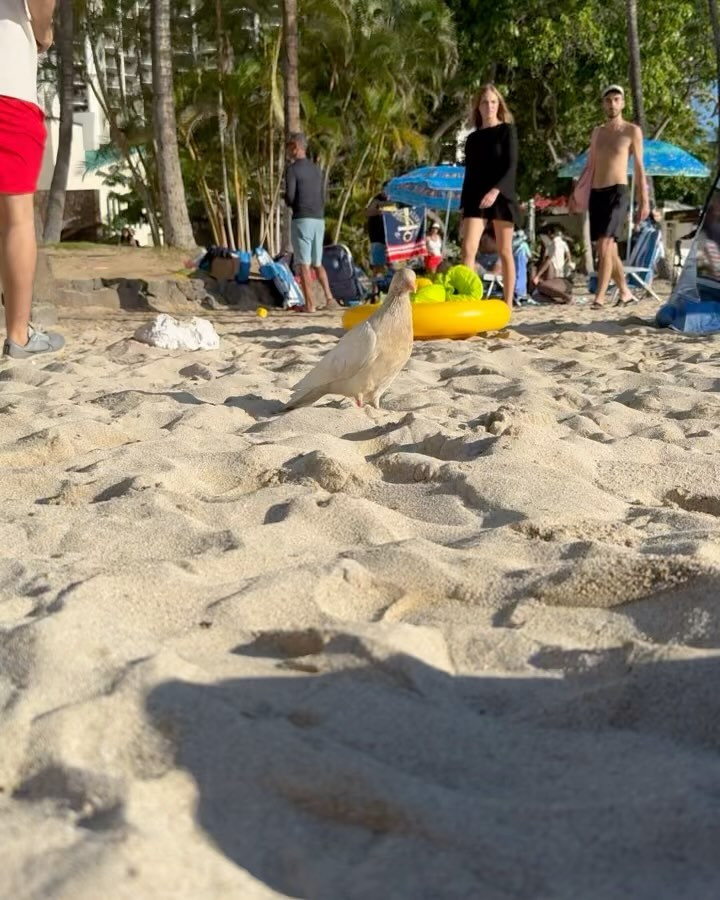 本当のことも、本当のとこも、
誰にも見つけられないから👑
いつかできる大事な人が
まりあの全部を知ればそれでいい🌴
.
#北海道 #札幌 #すすきの #ニュークラブ #ニュークラ 
#桃瀬まりあ #クラブプレミア #キャバクラ #ホスト #東京
#六本木 #新宿 #歌舞伎町 #大阪 #北新地 #ミナミ #美尻 
#ギャル #おっぱい #シャンパン #japan #Hokkaido #美容 
#誕生日 #パーティ #浴衣 #キャバ嬢 #美人 #北海道旅行 #旅行