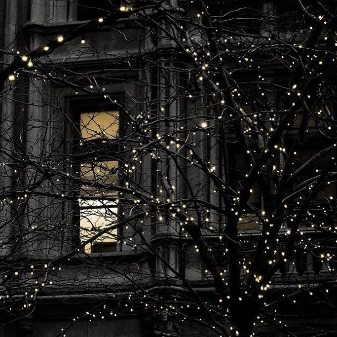  Instagramで記事を開く音ノ瀬 ...