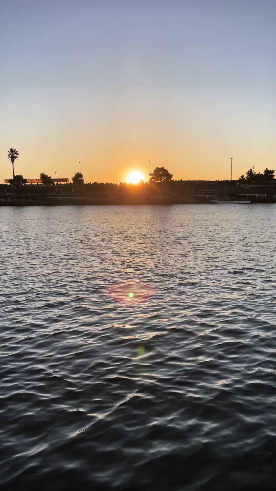 人生で初めて見た初日の出は人間多すぎて漁港からみました😃😃