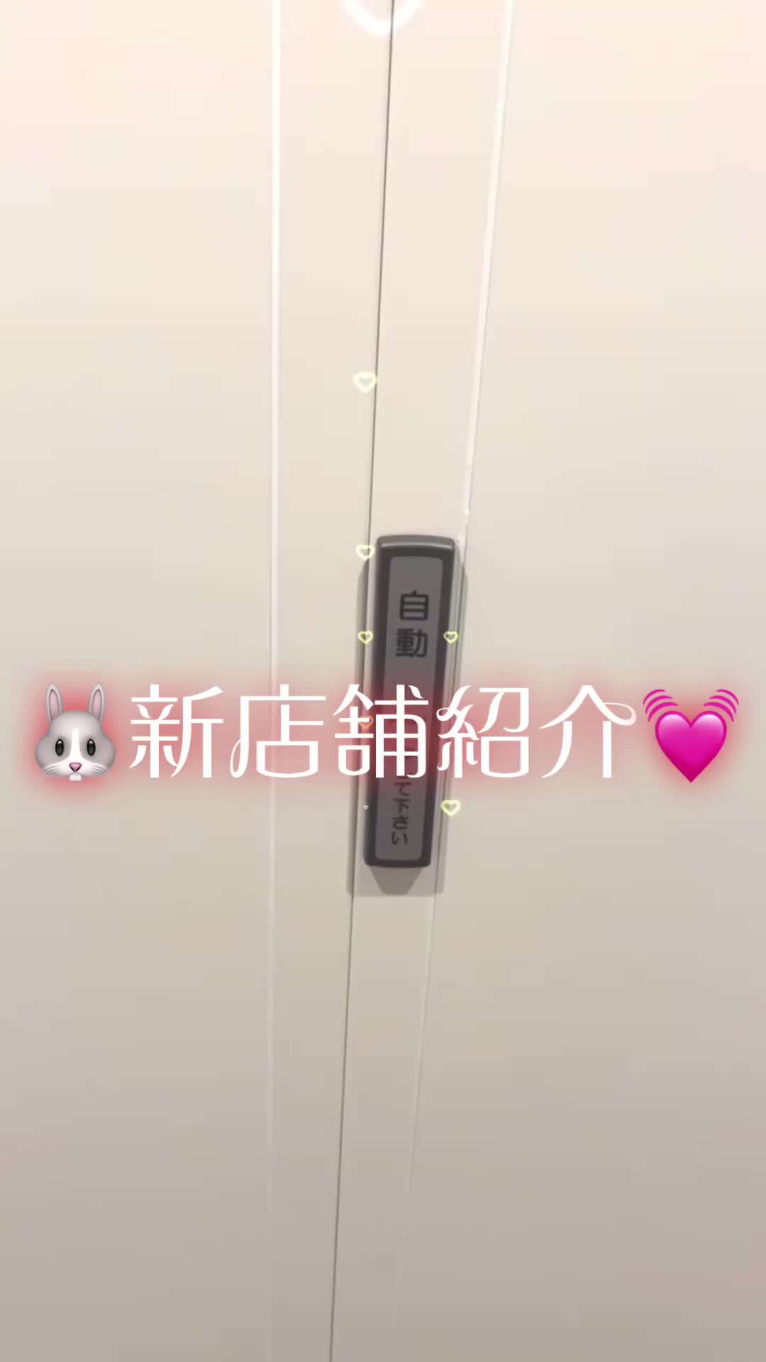 Bunny Base ホットニュース 73274