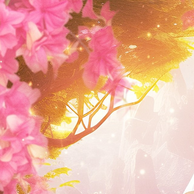 AMATERAS ホットニュース 78024