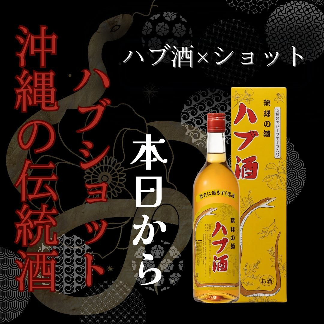 Bunny Base ホットニュース 78045