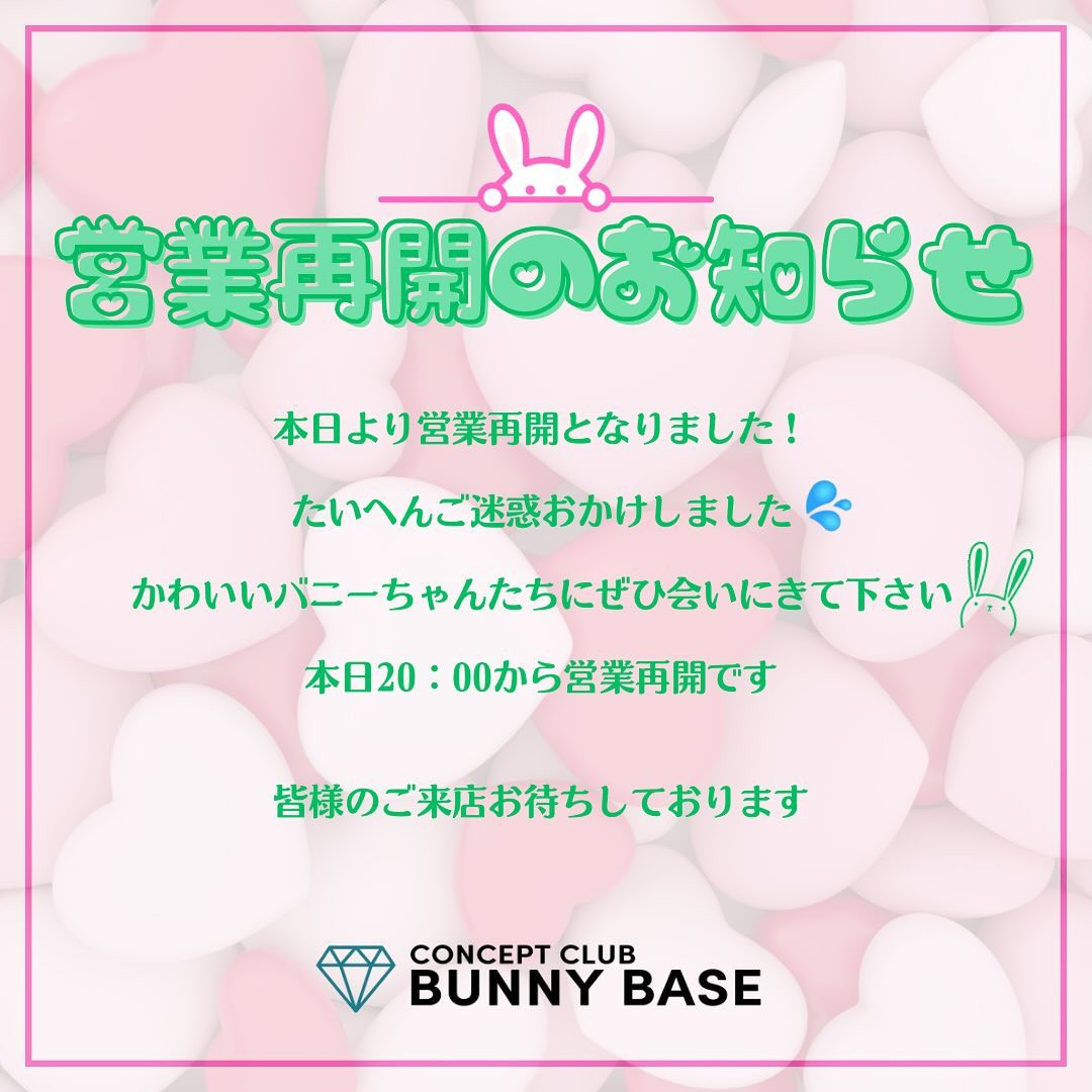 Bunny Base ホットニュース 78046