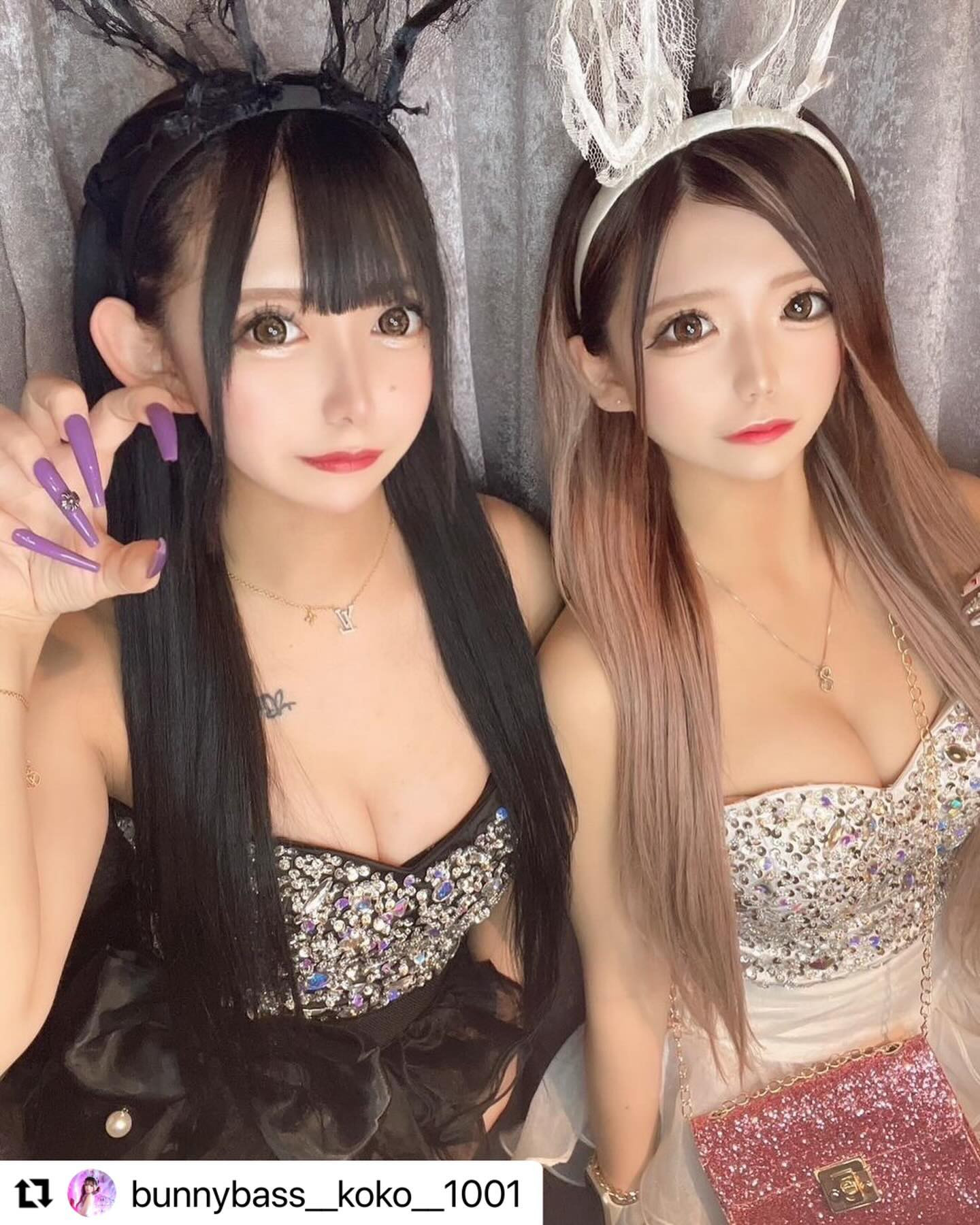 Bunny Base ホットニュース 78058