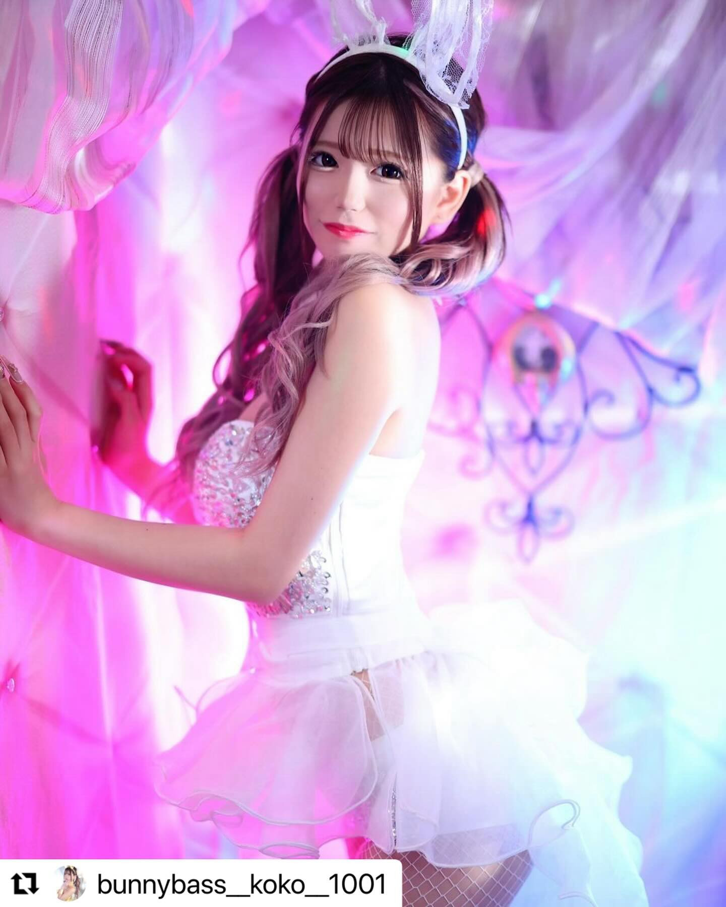 Bunny Base ホットニュース 78065