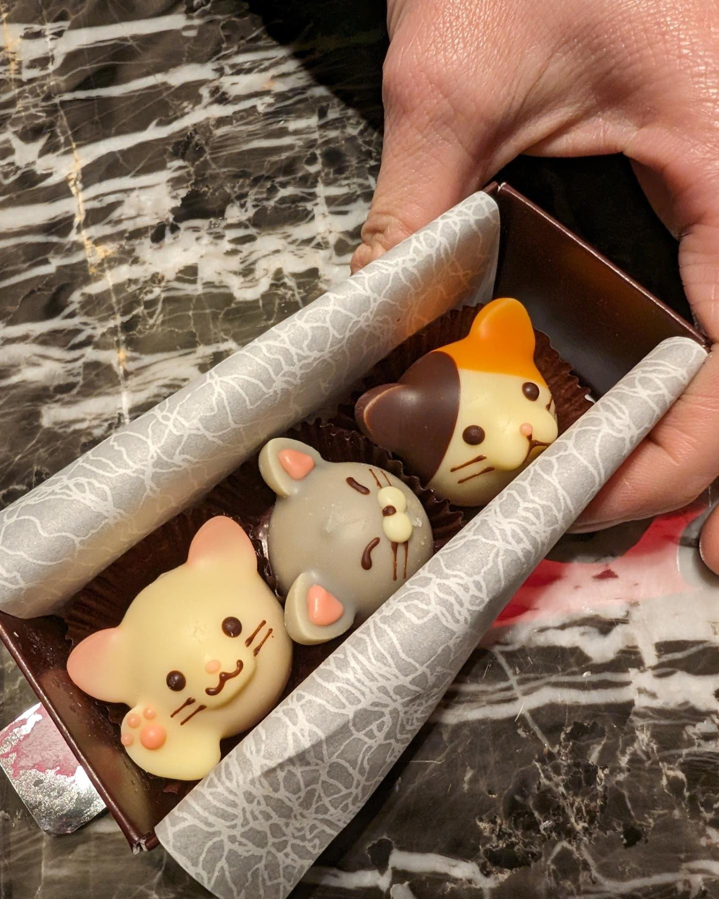 .
.
.
ゆいたむからチョコ頂いた🐈♥

かわゆ〜💖
@hibiki.group 
@letoile_sinseigroup 
#レトワール#響グループ #水川潤#美松ビル5F#札幌 #すすきの #北海道 #ニュークラブ #ニュークラ嬢 #すすきのニュークラ #ラウンジ #ラウンジ嬢 #キャバクラ #キャバ嬢 #ホステス #夜職 #ナイトワーク #ポケパラ #インスタ指名 #求人 #お酒好きな人と繋がりたい #キャバキャバ #きゃばきゃば#ダイエット