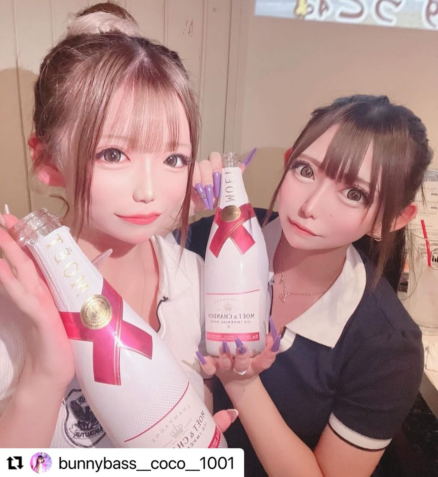 Bunny Base ホットニュース 78585