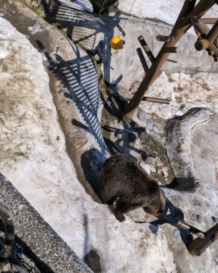 .
.
.
くまに餌投げつけるの楽しかった🐻♥
おくまかわいぃぃぃ♥

今日はお休み✨
直帰したのに起きたら3時だった🤦‍♀️
アーメン🧘
@hibiki.group 
@letoile_sinseigroup 
#レトワール#響グループ #水川潤#美松ビル5F#札幌 #すすきの #北海道 #ニュークラブ #ニュークラ嬢 #すすきのニュークラ #ラウンジ #ラウンジ嬢 #キャバクラ #キャバ嬢 #ホステス #夜職 #ナイトワーク #ポケパラ #インスタ指名 #求人 #お酒好きな人と繋がりたい #キャバキャ