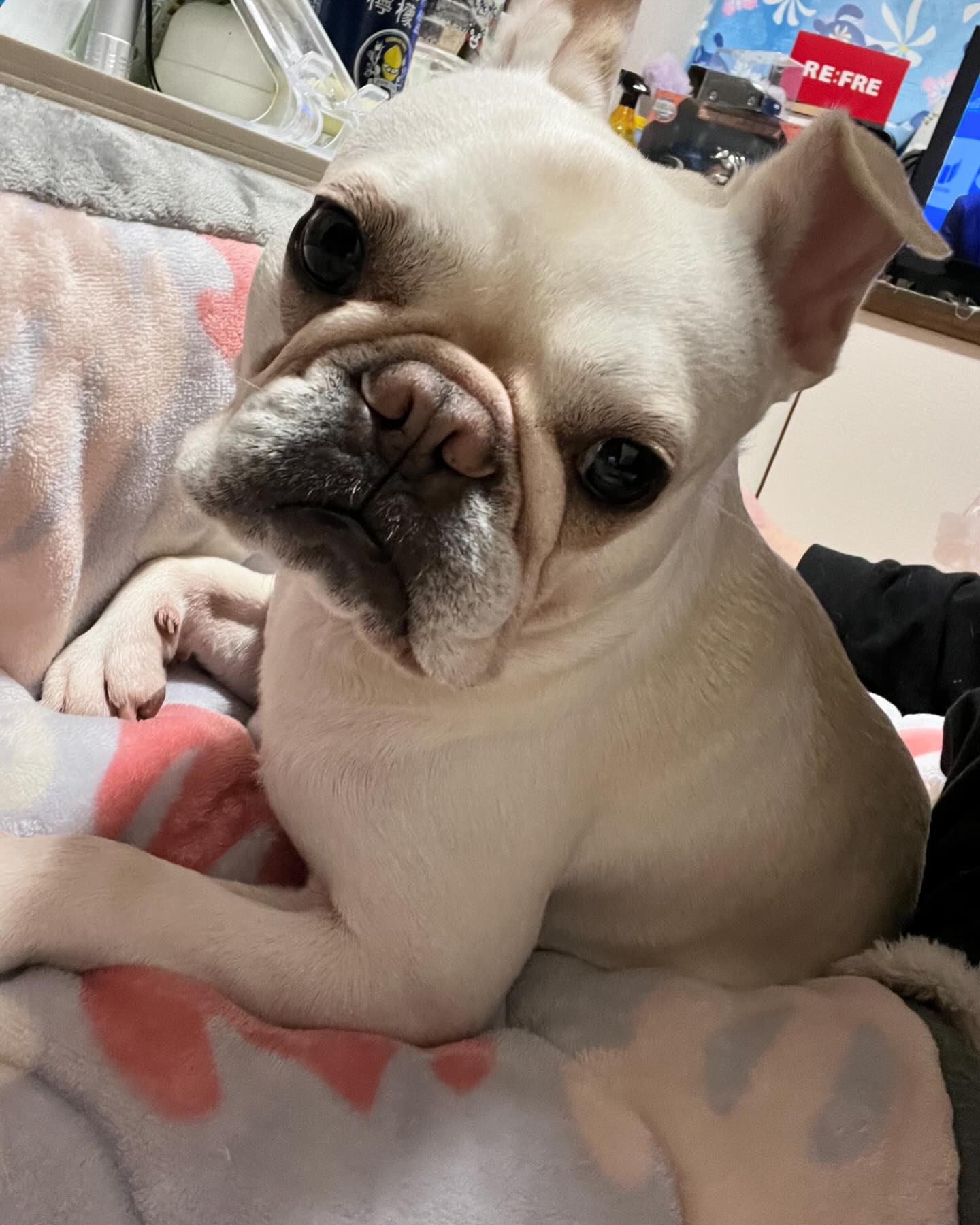 3月もたくさん来店ありがとうございました！
4月スタート！🌸
本日出勤です〜
是非遊びに来てください✨️