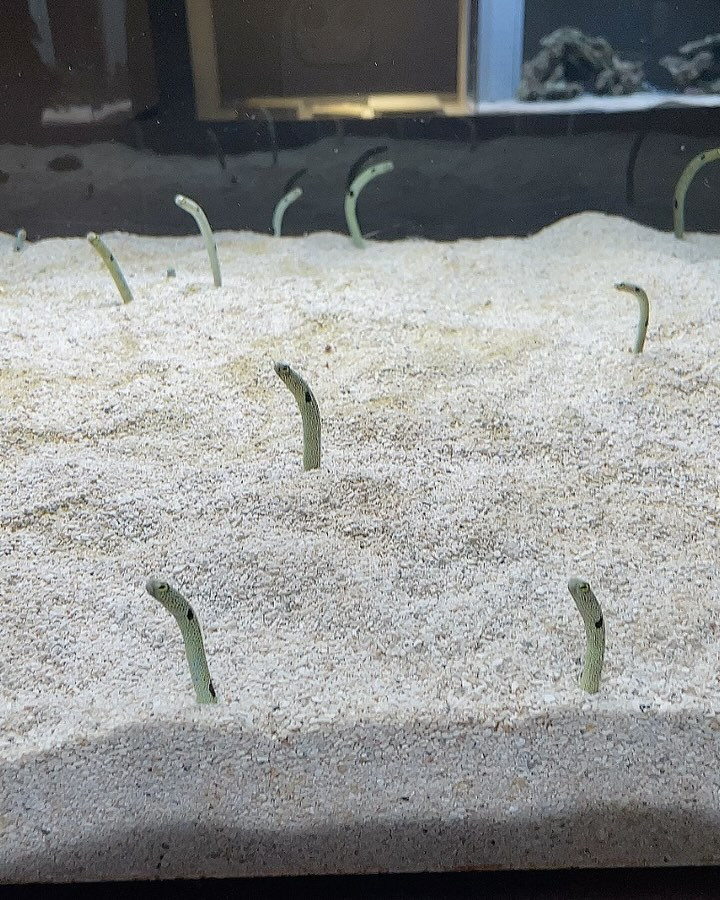 いつかの
AOAOSAPPORO

@clubgalle2580 

@aoao_sapporo