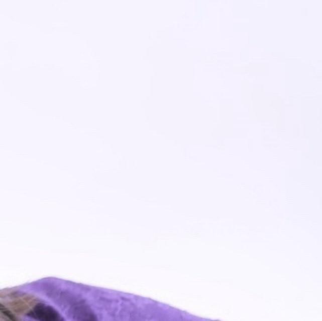 SEASIDE IKEBUKURO ホットニュース 79873