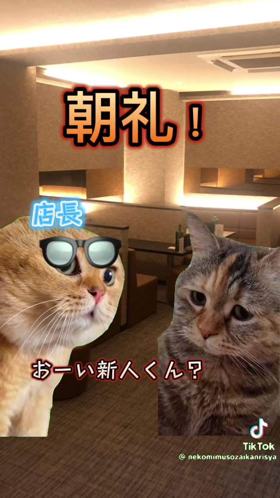 おかえりなさい ホットニュース 80368