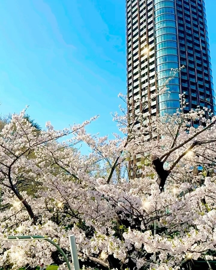 LUIAGUE日記1067233