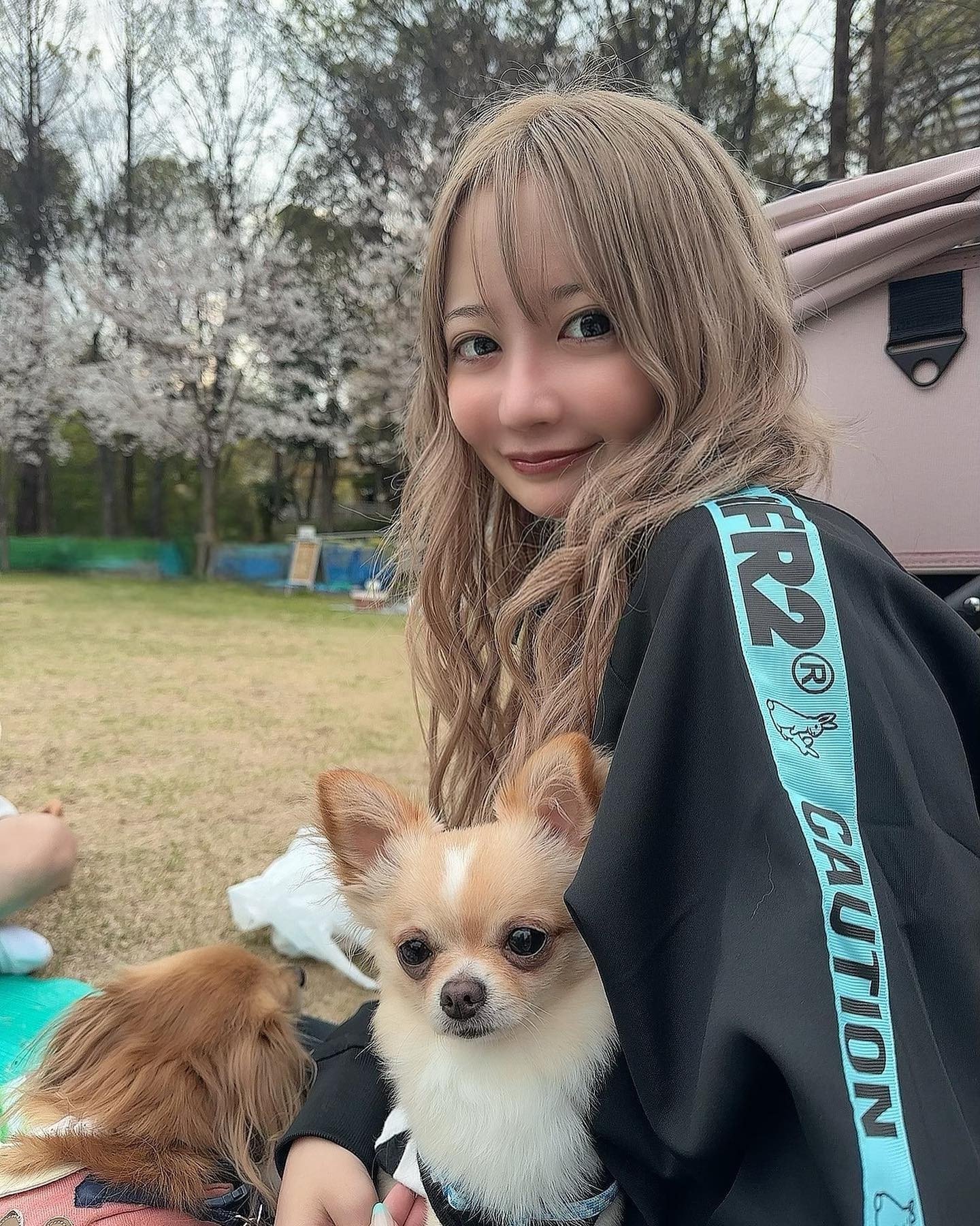 寝起きで花見🌸楽しかった🌸
毎日幸せ🍀︎

アプリで後ろに写ってる人たちの顔消したから上げ直しw

 #オレンジテラス  #オレンジテラス歌舞伎町  #キャバクラ  #キャバ嬢 #歌舞伎町キャバ嬢  #花見 #桜 #犬のいる暮らし