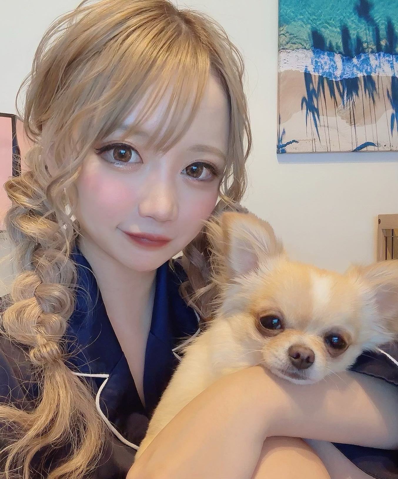 ぴのち1歳おめでとう🩵💙🩵
これからも元気に大きくなってね🌟

 #犬のいる暮らし  #犬のいる生活  #チワワ #ロングコートチワワ #1歳の誕生日