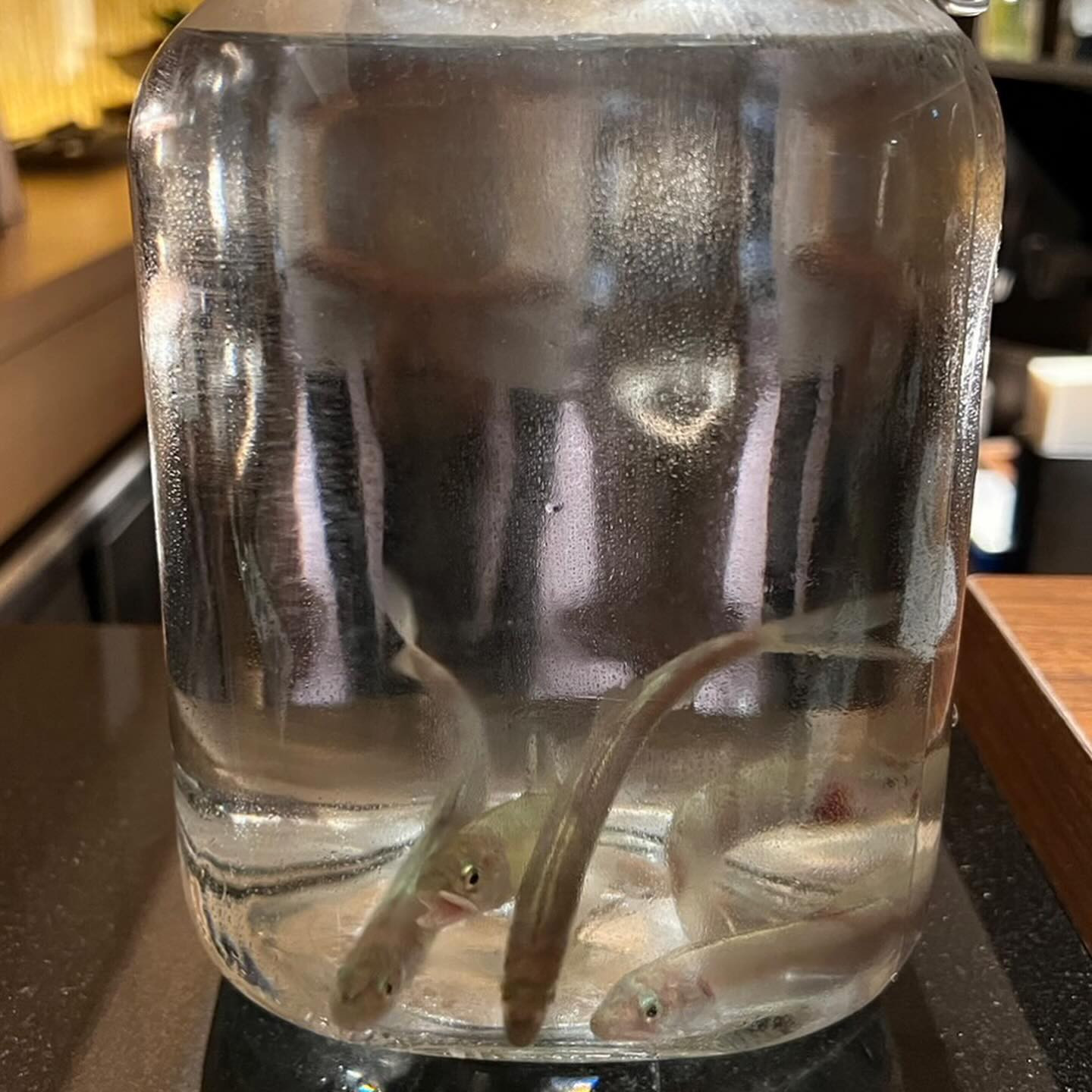 食べ過ぎました😋
美味しかったです〜🥰
旬の物たくさん食べて春を満喫した感じです☺️

昨日から☔️で寒いけど、体調に気をつけましょうね😉

@clubgalle2580 

#club我礼
#すすきの
#天ぷら