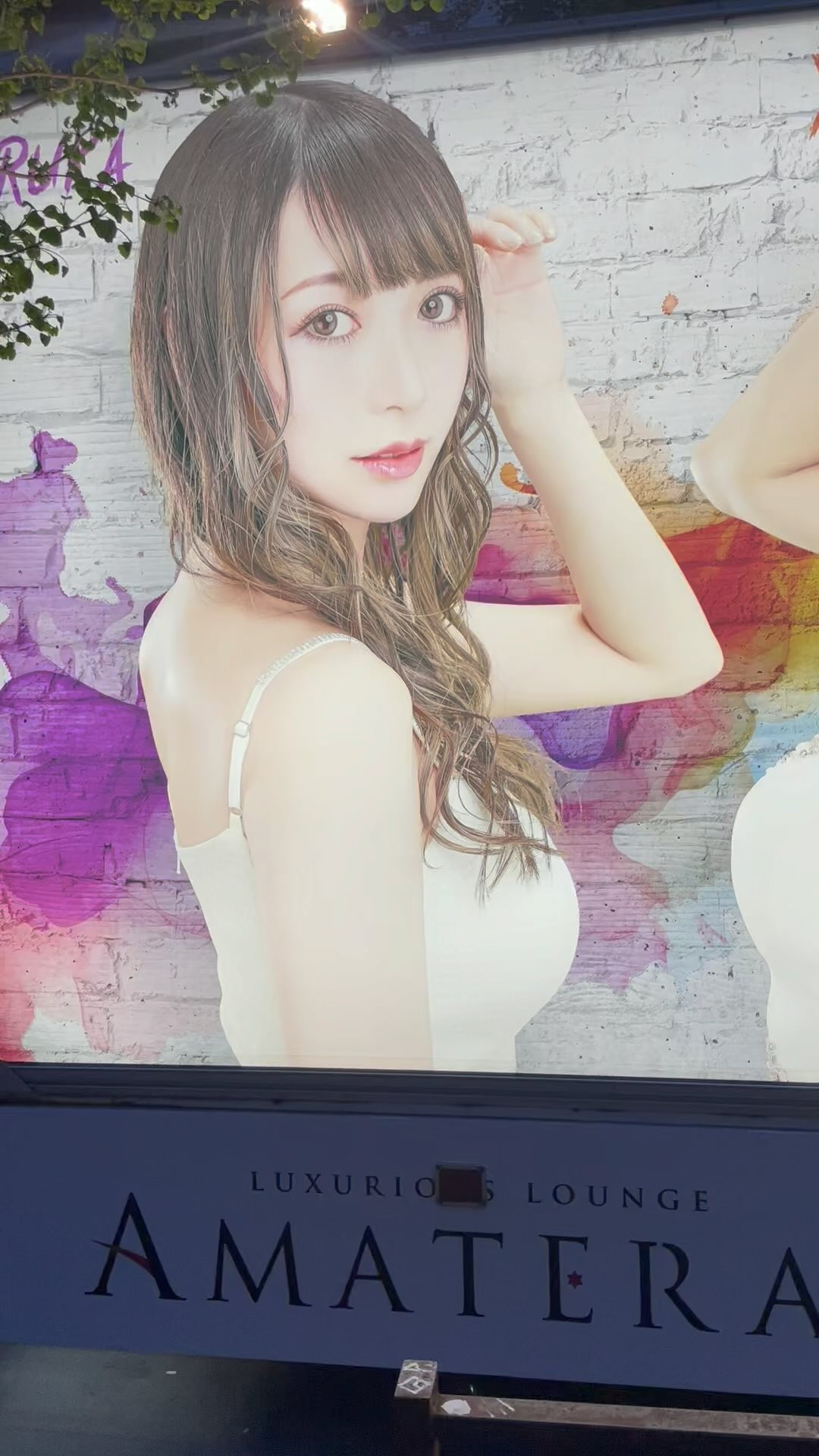 AMATERAS ホットニュース 81070