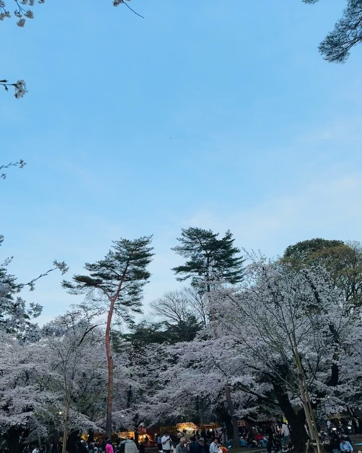 𝚜𝚊𝚔𝚞𝚛𝚊🌸
・
峰 寿リ亜 ｰ 𝐉𝐮𝐥𝐢𝐚 𝐌𝐢𝐧𝐞🌹
・
𝗢𝗿𝗮𝗻𝗴𝗲 𝗧𝗲𝗿𝗿𝗮𝗰𝗲 - オレンジテラス🍊🧡
@orangeterrace.tokyo 
・
AREA: 歌舞伎町／新宿
TEL: 03-6233-8201
MAP: 〒160-0021 
  東京都新宿区歌舞伎町1-2-5
  東陽ビル B1F
TIME: 20:00〜LAST
・
 #キャバ嬢  #キャバクラ  #新宿  #歌舞伎町  #ホステス  #ギャル  #じゅりあ  #オレンジテラス  #六本木  #銀座  #クラブ  #