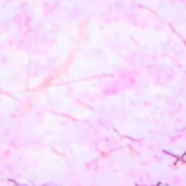 池袋 Red Shoes ホットニュース 81084