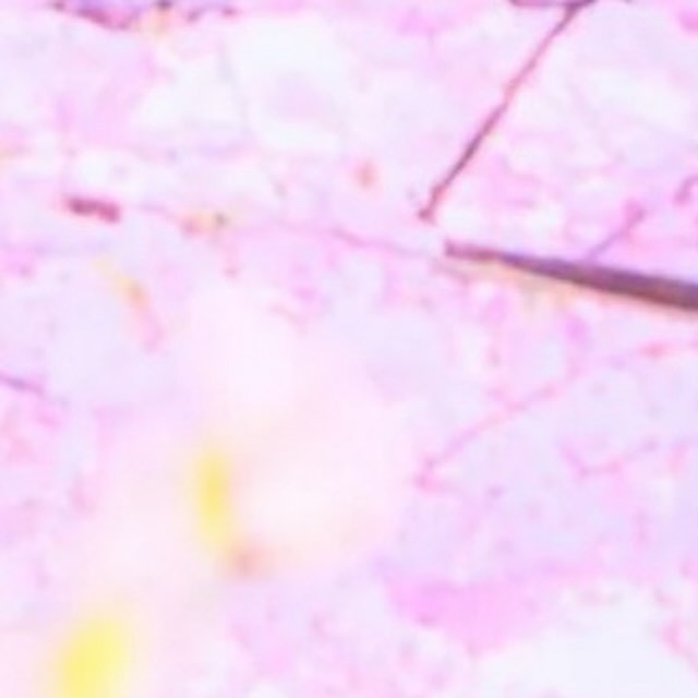 池袋 Red Shoes ホットニュース 81087