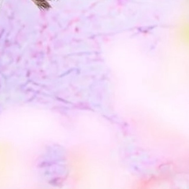 池袋 Red Shoes ホットニュース 81095