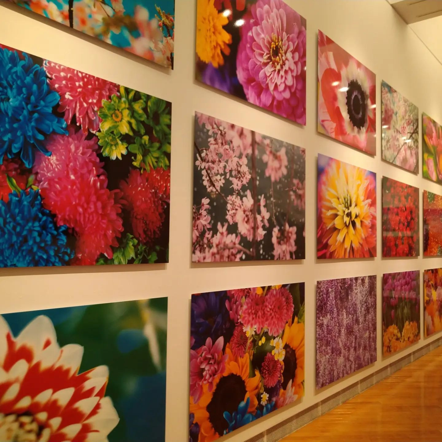 .
 
昔に行った蜷川実花展🦋💐
２枚目がお気に入り🩷
 
さて、今日と明日は
着物デーになってます！
私は明日着る予定です👘✨
華金楽しみましょー🙌
 
@clubgalle2580 
#すすきの#クラブ我礼
#蜷川実花#蜷川実花展