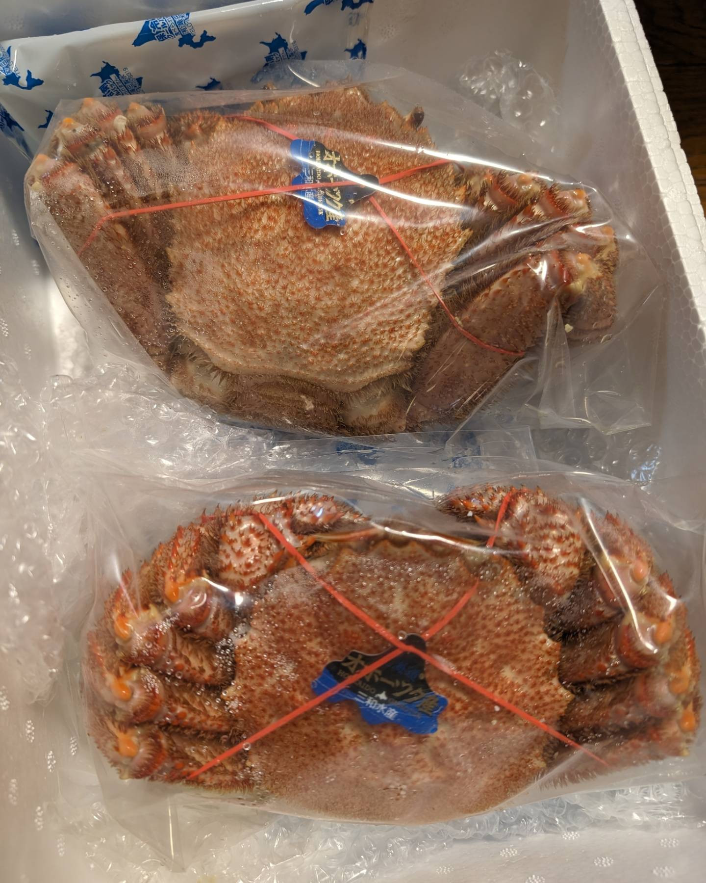 .
.
.
大きめ毛ガニ♥
ちゅきちゅきらぶりーちゃん☺️💗
@hibiki.group 
@letoile_sinseigroup 
#レトワール#響グループ #水川潤#美松ビル5F#札幌 #すすきの #北海道 #ニュークラブ #ニュークラ嬢 #すすきのニュークラ #ラウンジ #ラウンジ嬢 #キャバクラ #キャバ嬢 #ホステス #夜職 #ナイトワーク #ポケパラ #インスタ指名 #求人 #お酒好きな人と繋がりたい #キャバキャバ #きゃばきゃば#ダイエット