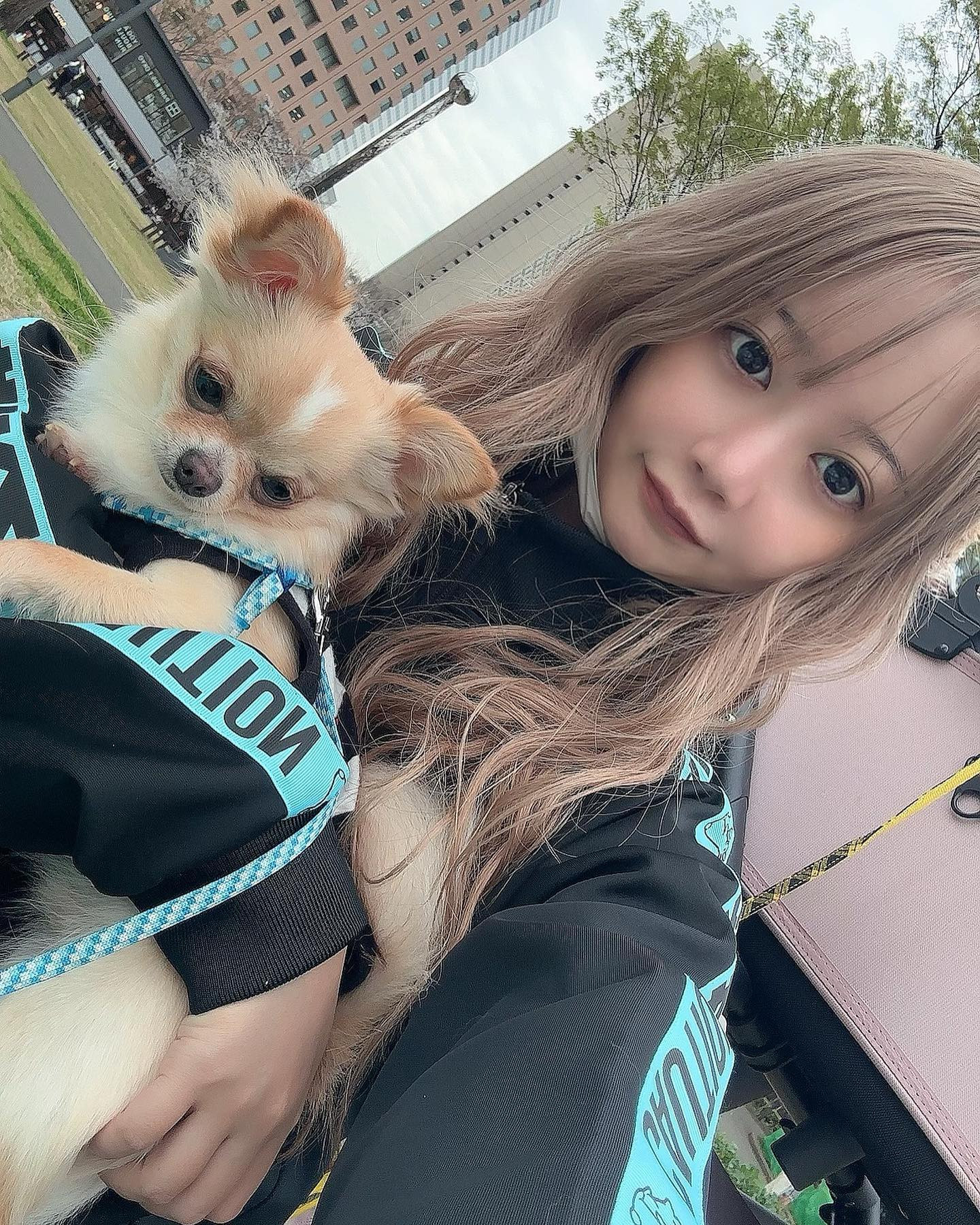 名前はぴの🐕

 #オレンジテラス  #オレンジテラス歌舞伎町  #歌舞伎町  #キャバクラ  #キャバ嬢  #チワワ  #チワワ部  #チワワのいる暮らし