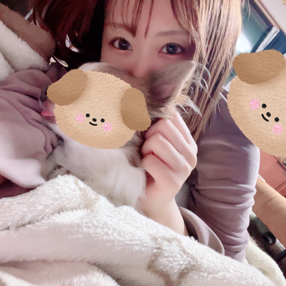 Girls Bar Bacchus新潟駅前店日記1537435