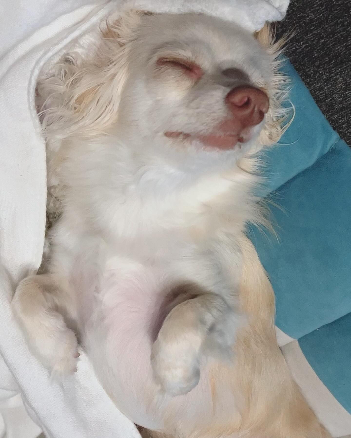 今日から5月ですね☀️
連休はのんびり☺️

我礼出勤です🥂
今月も頑張ります✊

＠clubgalle2580
#club我礼#第21桂和ビル6階
#トキオ観光
#東洋企画グループ