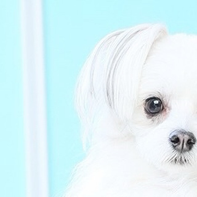 SEASIDE IKEBUKURO ホットニュース 82204