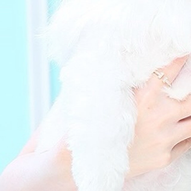 SEASIDE IKEBUKURO ホットニュース 82207