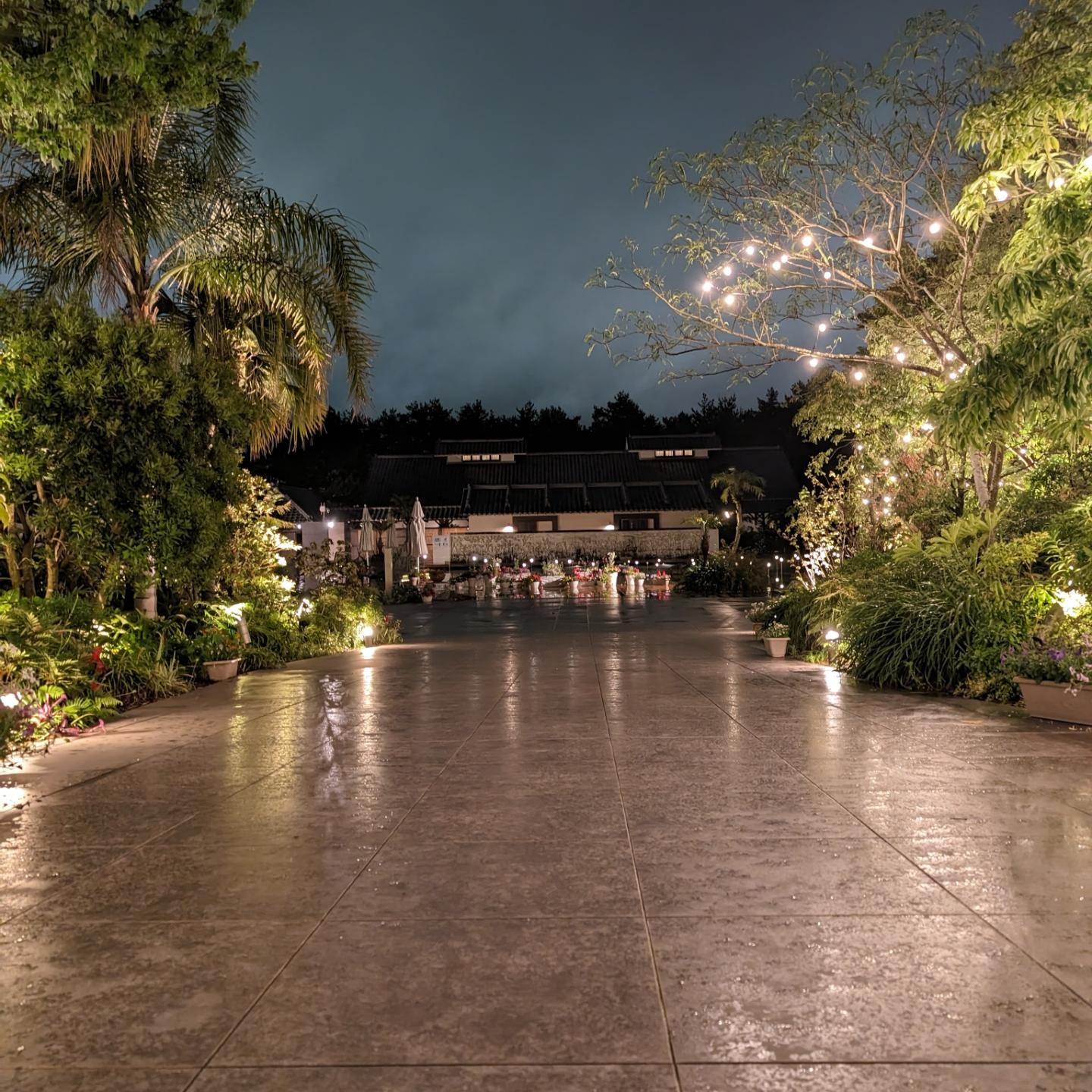 ここまでトラを大面的に着こなしてる人に初めてあった🫨
3Dにになってる😆
どこで売ってるんだろう😆
トラ最高🫶
@letoile_sinseigroup 
@hibiki.group 
#レトワール#響グループ #水川潤#美松ビル5F#札幌 #すすきの #北海道 #ニュークラブ #ニュークラ嬢 #すすきのニュークラ #ラウンジ #ラウンジ嬢 #キャバクラ #キャバ嬢 #ホステス #夜職 #ナイトワーク #ポケパラ #インスタ指名 #求人 #お酒好きな人と繋がりたい #キャバキャバ #きゃばきゃば#ダイエッ