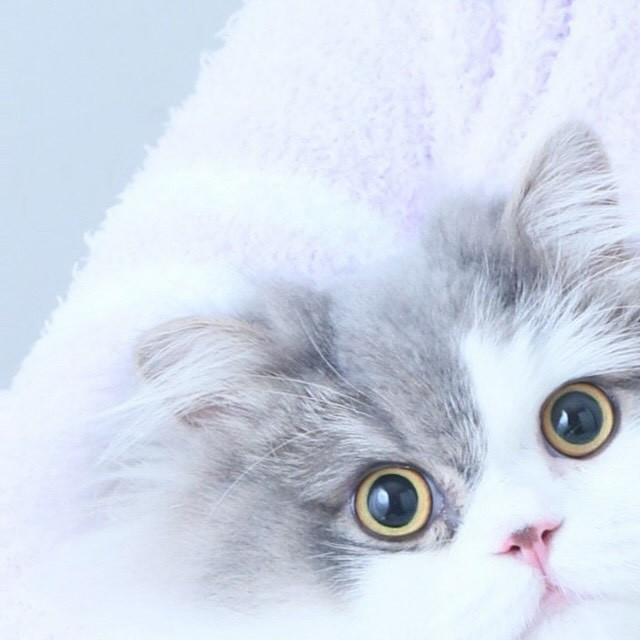 SEASIDE IKEBUKURO ホットニュース 82531