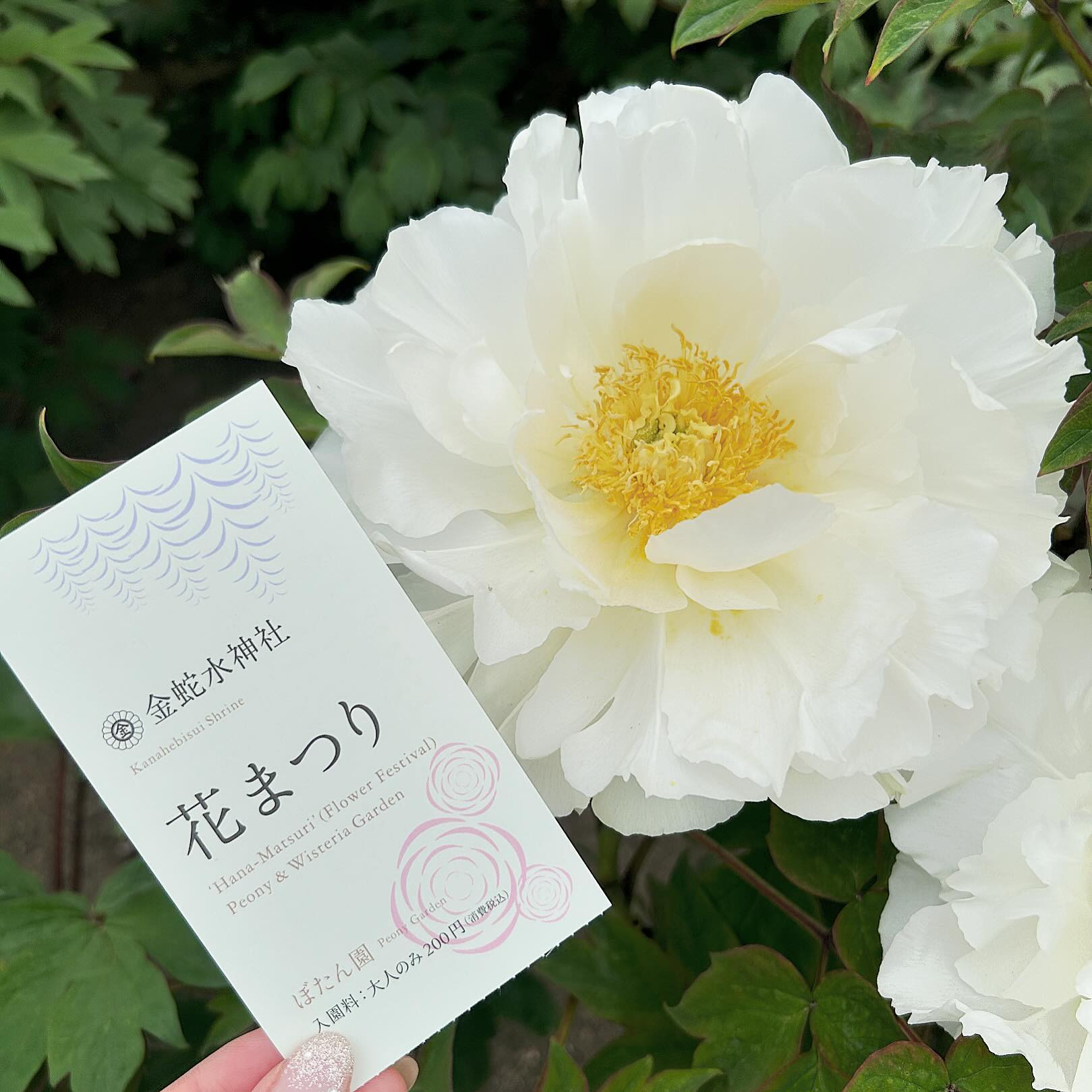 .
花まつり🪷🪷🪷
.

#歌舞伎町#六本木#すすきの#国分町#国分町キャバ嬢#北新地#仙台#新宿#銀座#キャバ嬢#キャバクラ#ホスト#クラブ#夜職#ポケパラ#キャバキャバ#ポケパラ東北#ナイツネット東北#美女図鑑東北# #メイク#ヘアメイク#キャバ嬢ヘアメイク#ラウンジ#花まつり#金蛇水神社#牡丹